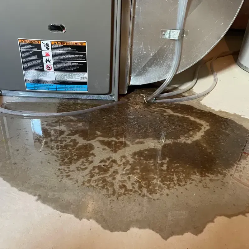 Appliance Leak Cleanup in Lyndeborough, NH